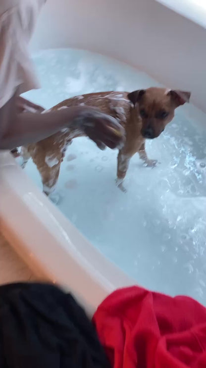 適用於狗和貓的溫和矽膠寵物刷 - 透過整合沐浴露分配器進行按摩和清潔