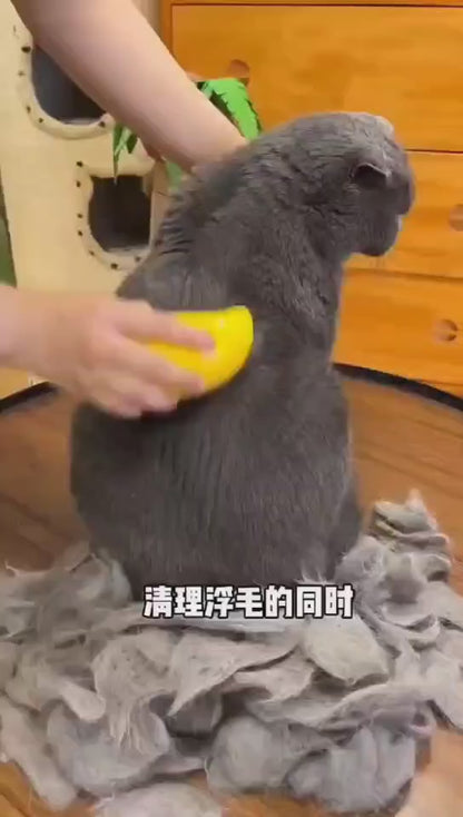 三合一貓狗電動蒸氣刷 – 蒸氣刷、噴霧器和按摩寵物美容工具（用於除毛）