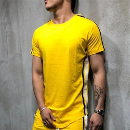 Paneled striped round neck short sleeve T-shirt - Hiccupzz
