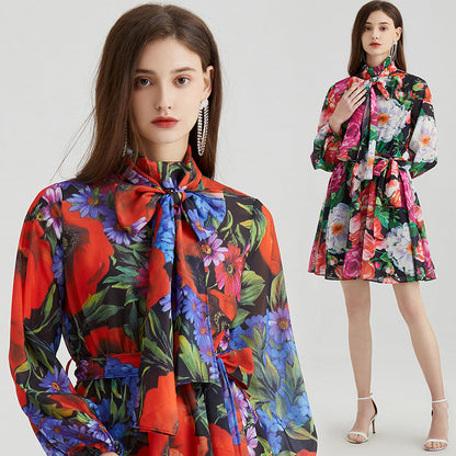 Printed Chiffon Long-sleeved Dress For Women - Hiccupzz