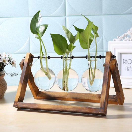 Glass and Wood Vase Planter Terrarium Table Plant.